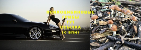 а пвп мука Алзамай