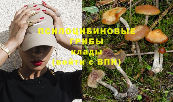 марки nbome Алексеевка