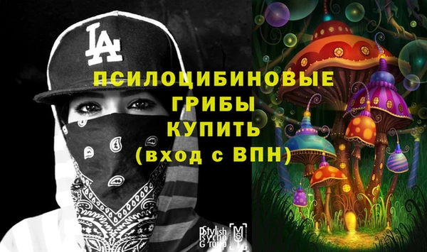 а пвп мука Алзамай