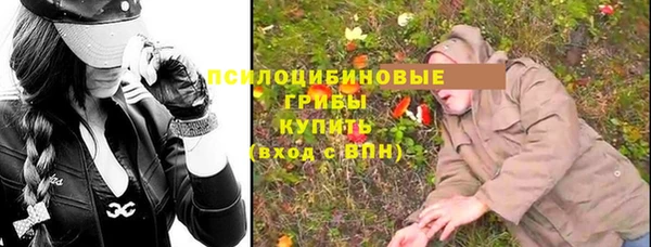 винт Алексин
