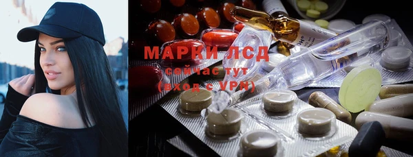 а пвп мука Алзамай