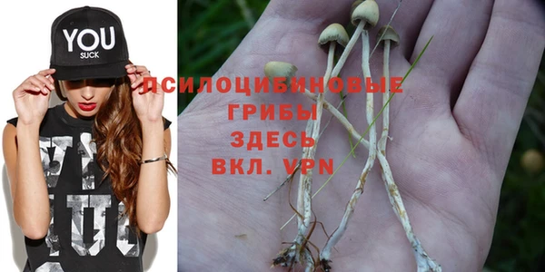 винт Алексин