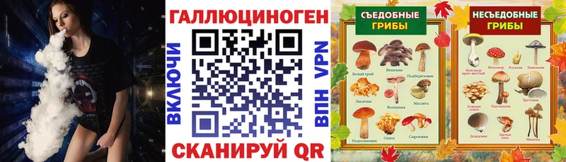 наркошоп  Сибай  Псилоцибиновые грибы мухоморы 